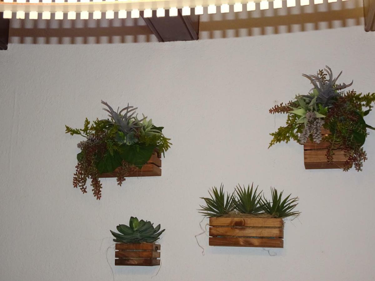הוילה Joanetes Mas El Bosquet מראה חיצוני תמונה